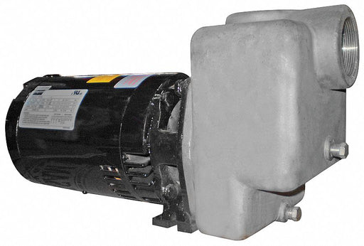 Self Priming Pump 2 HP 316 SS