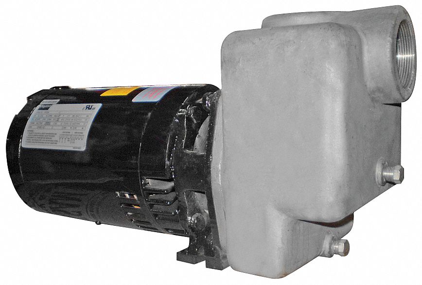 Self Priming Pump 2 HP 316 SS