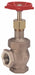 Globe Valve 1 Bronze FNPT 600 psi