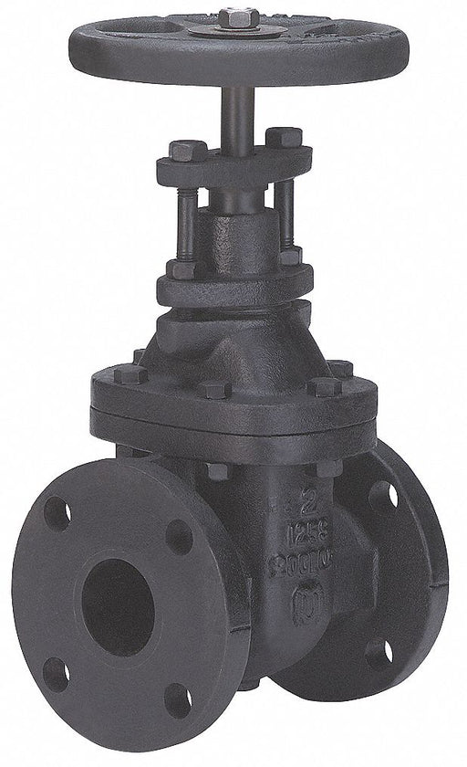 Gate Valve 2 1/2 Cast Iron Flange
