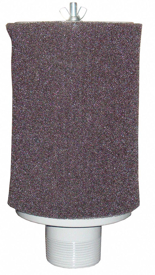Intake Exposed Filter 2 MNPT 135 cfm