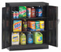 Storage Cabinet 42 x36 x18 Black 2Shlv