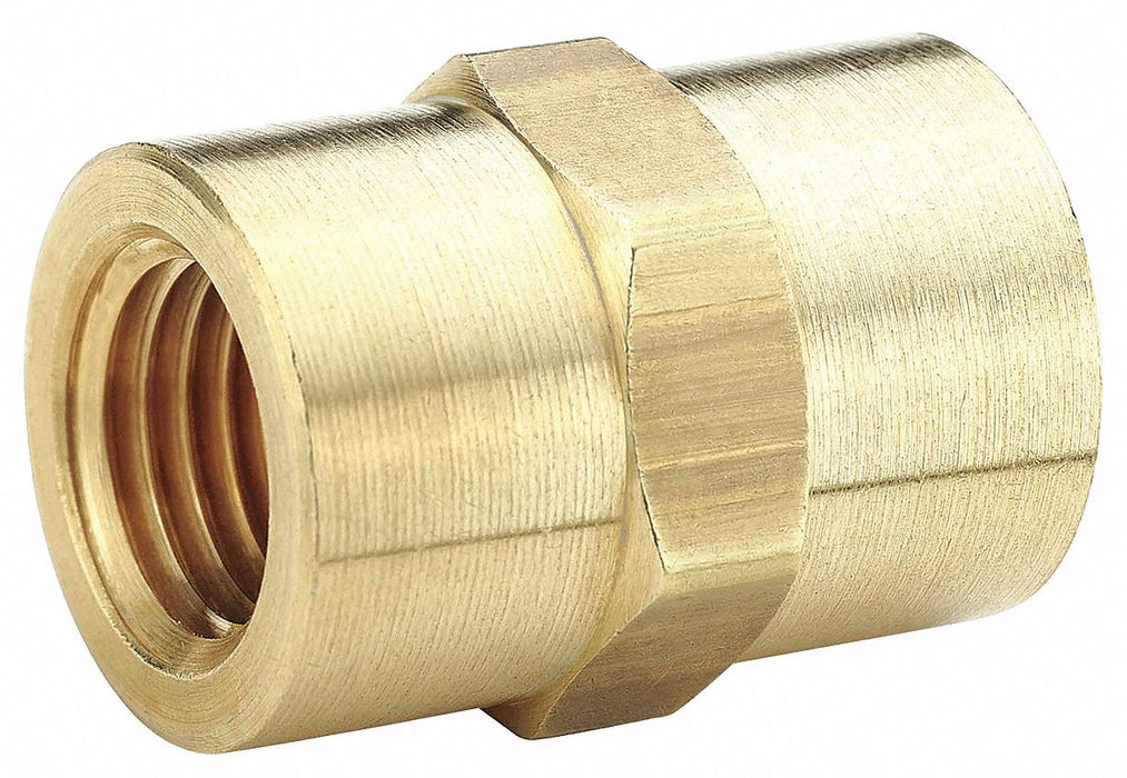 Coupling Brass 1/8 in FNPT x FNPT