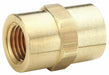 Coupling Brass 1/8 in FNPT x FNPT