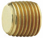 Countersink Plug Brass 3/8 in MNPT
