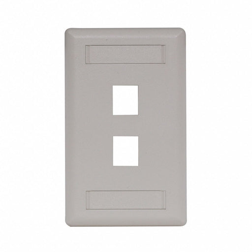 Wall Plate 2 Port