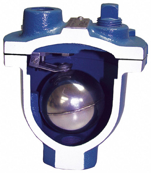 Air Release Valve FNPT 1 x 1/2 CI