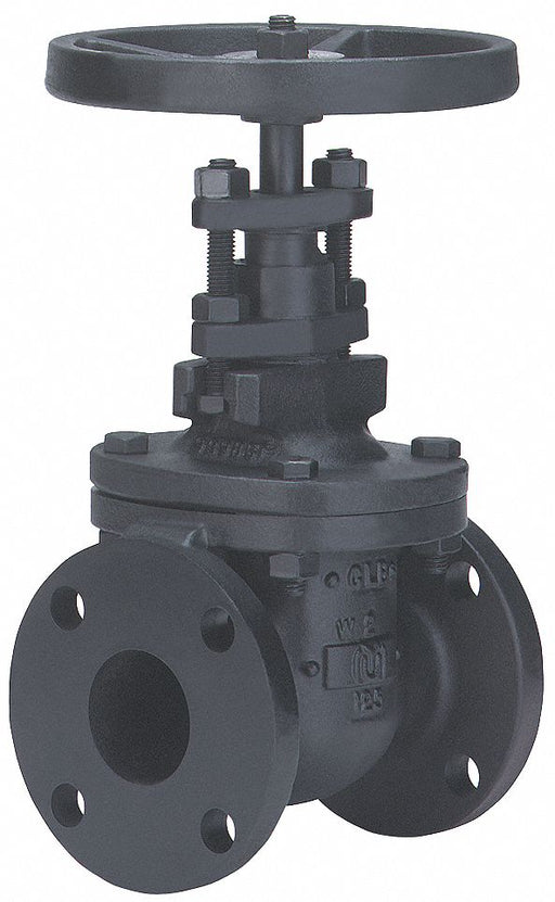Gate Valve 2 Cast Iron Flange