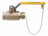 Manual 2-Way Ball Valve NPT Bronze