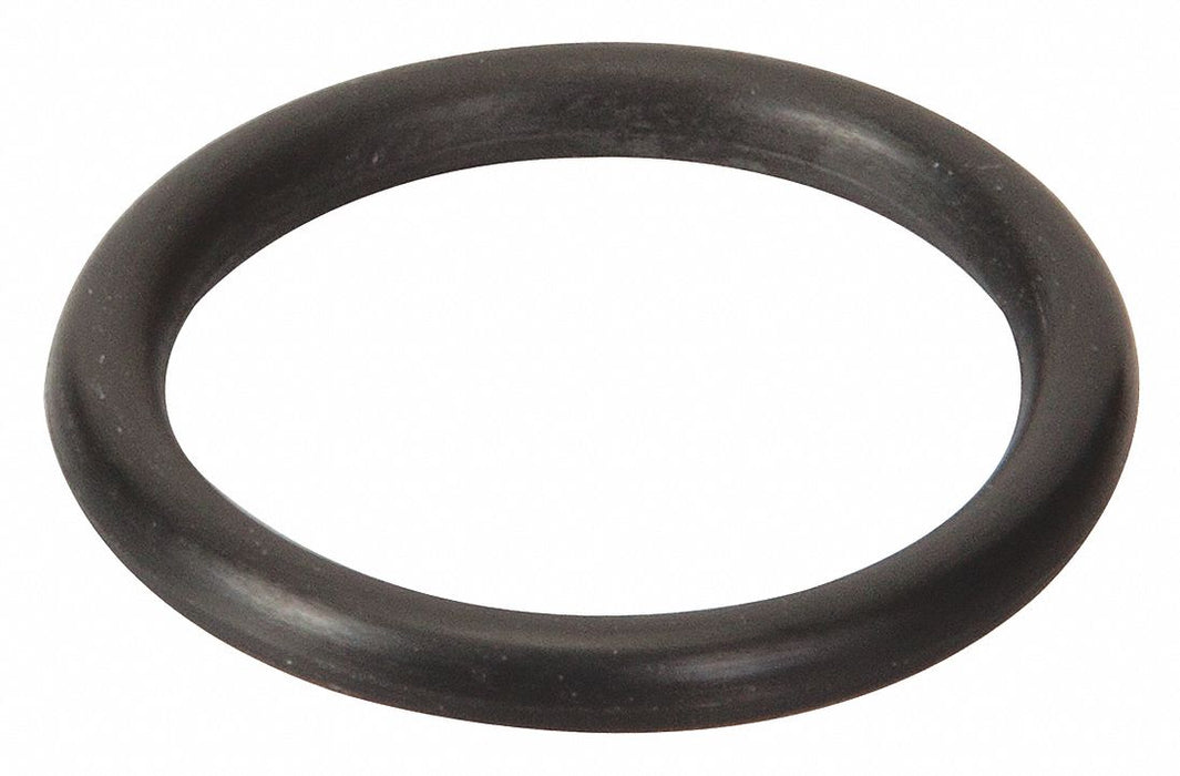 Pump Tube O-ring
