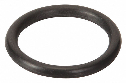 Pump Tube O-ring