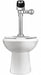 Flush Valve Toilet China FloorMount