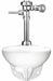 Flush Valve Toilet 11-1/2 Rough-In Wall