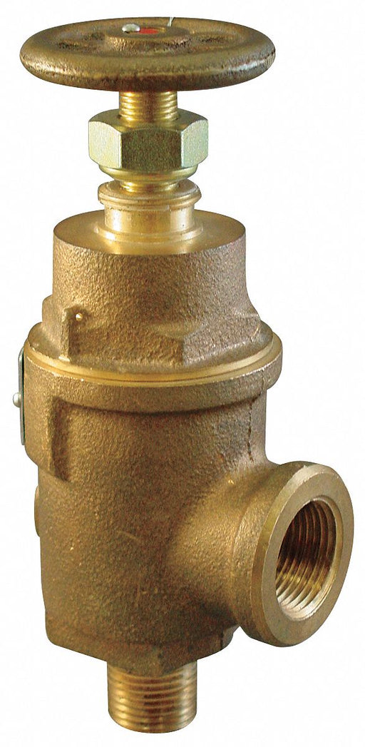 Adjustable Relief Valve 1/2 x 3/4 225psi