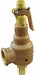 Safety Relief Valve 1/2 x 3/4 In 100 psi