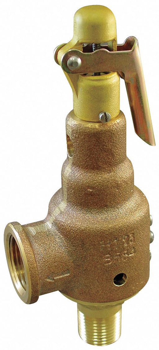 Safety Relief Valve 1-1/2 x 2 In 100 psi
