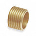 Straight Copper Cup1/2in MNPT1/2in
