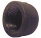 Round Cap Malleable Iron 1/4 in NPT