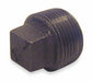 Square Head Plug Malleable Iron 3/4 in