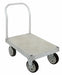 Standard Platform Truck 2800 lb.