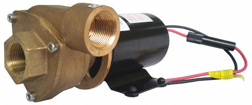 Marine Centrifugal Pump 1/8 HP 36V DC