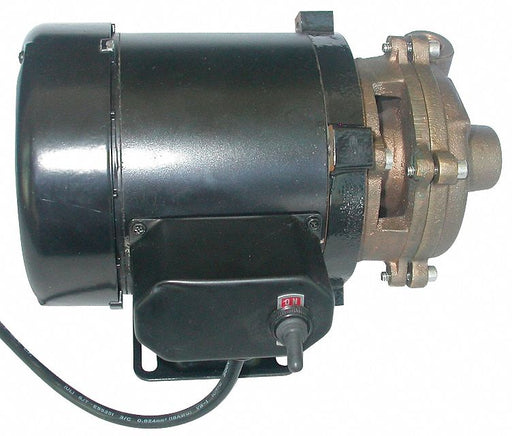 Marine Centrifugal Pump 1/8 HP 115VAC