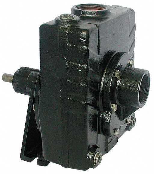 Pedestal Pump Cast Iron 2 HP