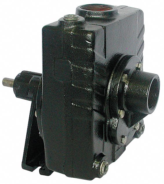 Pedestal Pump Cast Iron 2 HP