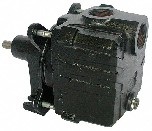 Pedestal Pump Cast Iron 1 HP