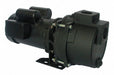 Pump 1 HP 1Ph 115/230VAC