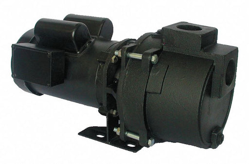 Pump 1 HP 1Ph 115/230VAC