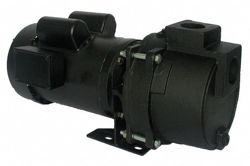Pump 1-1/2 HP 1Ph 115/230VAC