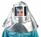 Faceshield Replacement