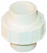Union CPVC NPT 1 in Socket 1 in