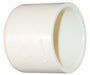 Cap CPVC Socket 1 in