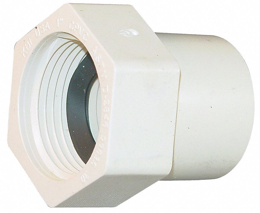 Straight CPVC FNPT 1 in Socket 1 in