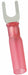 FT 22to16AWG HST Red Stud#8 PK25