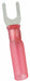 FT 22to16AWG HST Red Stud#10 PK25