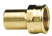Strt Bronze FTG 1/2 in FNPT 1/2 in