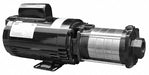 Booster Pump 2 hp 1 Phase 115/230V AC