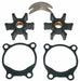 Pump Repair Kit