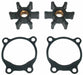 Pump Repair Kit