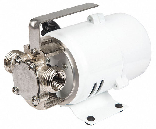Utility Pump 6 ft 115V AC