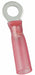 RT 22to16AWG Red HST Stud#6 PK25