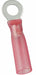 RT 22to16AWG Red HST Stud#8 PK25