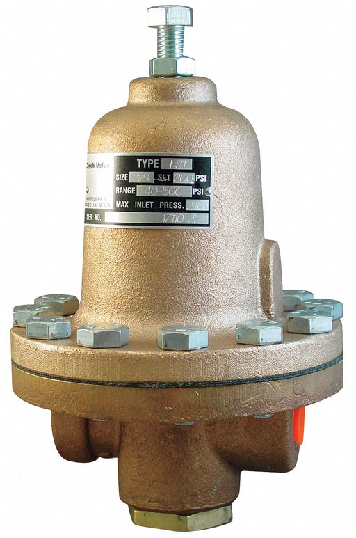 Pressure Regulator 1/2 In 40 to 500 psi