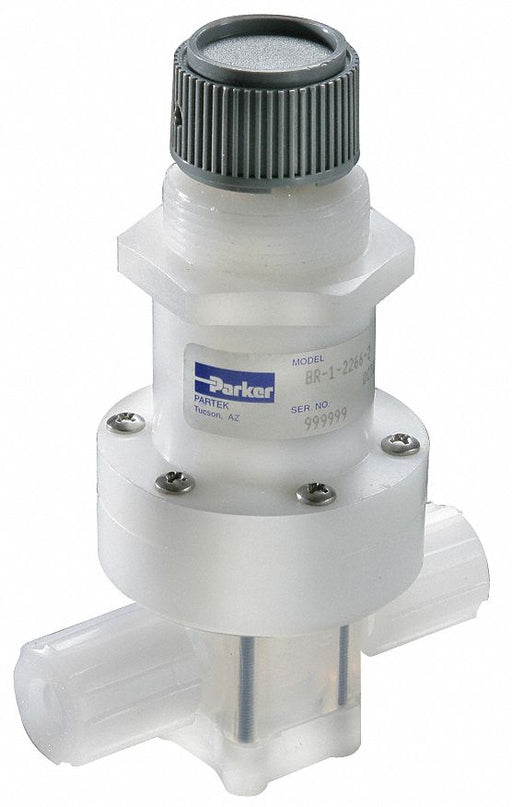 Pressure Regulator 1/4 In 0 to 30 psi