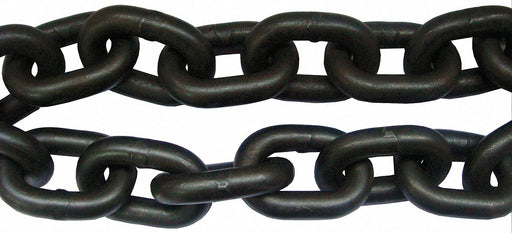 M5078 Straight Chain Alloy Steel 10 L 7 100 lb