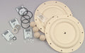 Diaph. Pmp Rpr Kt PTFE For 2CAU2 2CAU3