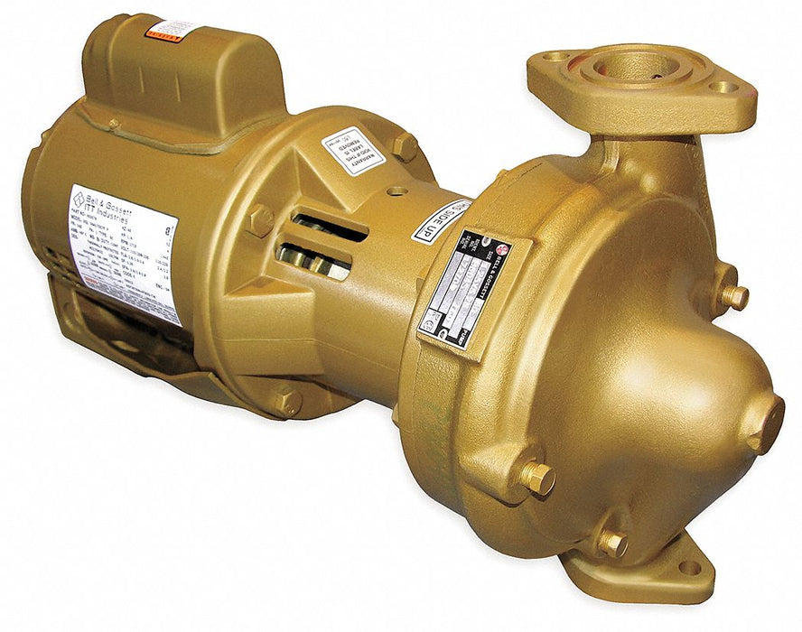 Potable Circulating Pump 